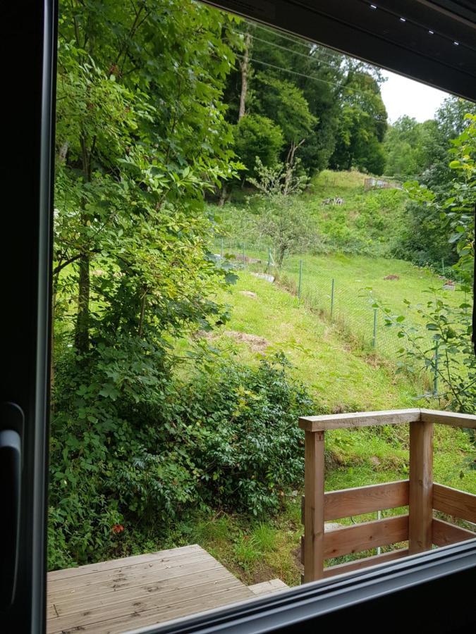 Appartement Cosy Calme A L'Oree Du Bois Cornimont Buitenkant foto